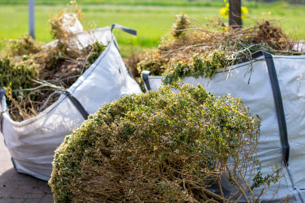 Debris Removal in University Of Pittsburgh Johnstown, PA